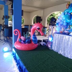 Kids Birthday Venue Setup by Murakeni